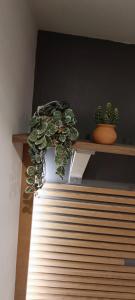 a potted plant sitting on top of a shelf at Résidence Bel'Air in Aire-sur-la-Lys