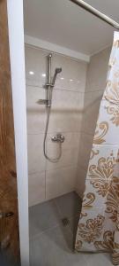 y baño con ducha y puerta de cristal. en A&G Sodyba camp SVEČIŲ NAMELIS en Plungė