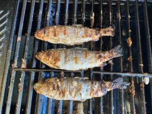 three fish are cooking on a grill at リバウッドリゾート in Mori