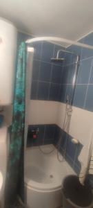 baño de azulejos azules con ducha y aseo en DARA Apatman, en Šabac