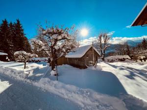 eine schneebedeckte Hütte mit einem Baum im Schnee in der Unterkunft Vorberghof in Ramsau am Dachstein