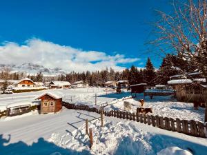 Pension Vorberghof- Bauernhofurlaub v zimě
