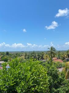 a view of the jungle from a resort with trees at Segar Art Gallery in Ja-Ela