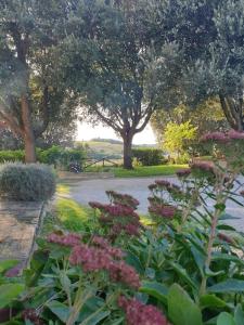 einen Garten mit Blumen und Bäumen und eine Straße in der Unterkunft La casa dei nonni tra Crete Senesi e Val D'Orcia in San Giovanni dʼAsso