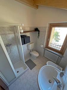 een badkamer met een douche, een wastafel en een toilet bij B&B Formighèr in Valmorel