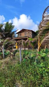 una casa en la cima de una colina con palmeras en Céu da Vida Eco Cabana, en Pipa