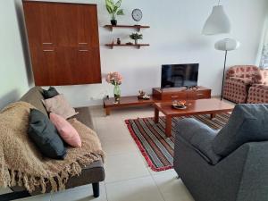 a living room with a couch and a tv at Espaçoso apartamento com excelente espaço exterior in Albufeira +13 photos