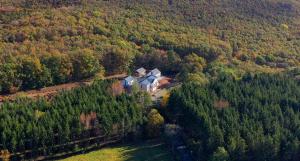 an aerial view of a house in the middle of a forest at Szent Orbán Erdei Wellness Hotel in Kóspallag