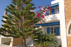 a palm tree in front of a building with flowers at Manolis Studios in Kastraki Naxou