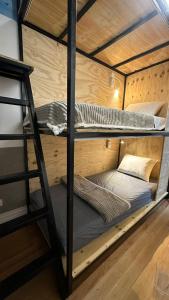 two bunk beds in a room with a ladder at Hostel Hug Brasil in Curitiba