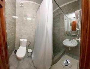 a bathroom with a toilet and a sink with a shower curtain at Smerekovyi Dvir in Zhdenievo +41 photos