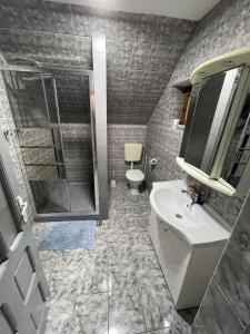 a bathroom with a sink and a shower and a toilet at Biertan 48 Guesthouse in Biertan