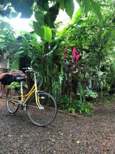 ein gelbes Fahrrad, das vor einem Garten geparkt ist in der Unterkunft Forest Villa Nature Resort in Anuradhapura