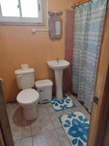 um banheiro com vaso sanitário e pia em cabaña zoila em Coñaripe