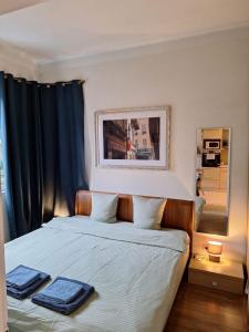 ニースにあるBEAUTIFUL apartment , beach 3 min walk , free parking, near Negrescoのベッドとタオル2枚のある寝室