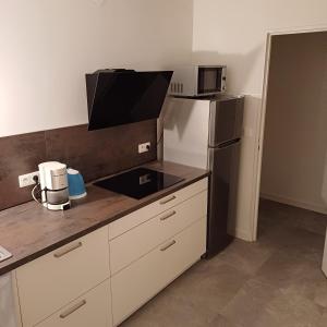 eine Küche mit einem Kühlschrank und einer Arbeitsplatte in der Unterkunft Les vignobles d'Alsace in Wintzenheim