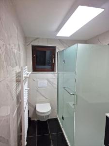 a bathroom with a toilet and a glass shower at Ferienwohnung St. Josef in Bodensdorf