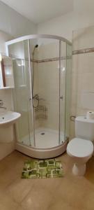 a bathroom with a shower and a toilet and a sink at Apartment in Sapphire Residence in Bansko