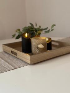 a wooden tray with two candles and a plant at Appartement Elena in Linz
