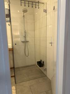 um chuveiro com uma porta de vidro na casa de banho em Appartement Elena em Linz