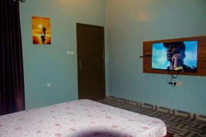TV a/nebo společenská místnost v ubytování Le Petit Manoir