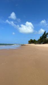 uma praia arenosa com uma palmeira e o oceano em Loft Beira Mar em Camassari