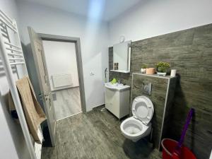 La salle de bains est pourvue de toilettes et d'un lavabo. dans l'établissement D&D New Residence, à Piteşti