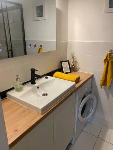 a bathroom with a sink and a washing machine at Maros Apartman in Budapest