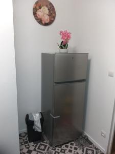 a refrigerator with a plant on top of it at Joli petit appartement in Charleville-Mézières