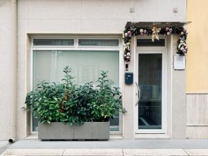 una ventana con una planta delante de una puerta en B&B Butterfly Suite, en Bitritto