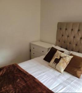 ロンドンにあるBeautiful 1-Bed Apartment in Londonのベッドルーム1室(黒猫枕付きのベッド1台付)