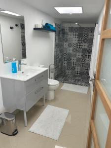 een badkamer met een wastafel, een toilet en een douche bij Petite Maison studio tout confort cosy Givors autoroute et gare in Givors