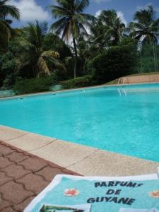 Piscina di Appartements Cayenne Standing o nelle vicinanze
