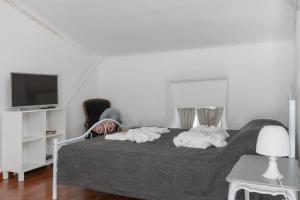 um quarto com uma cama e uma televisão em Loft Rossetti em Trieste
