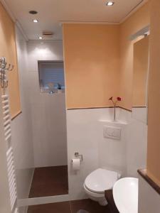 a bathroom with a toilet and a sink at schöne Ferienwohnung in Friedrichskoog-Spitze in Friedrichskoog-Spitz