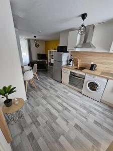 a kitchen with a stove and a dishwasher at Appartements entiers proche Aéroport - ZAC Chesnes - CNPE du Bugey Check-In 24h7J in Satolas-et-Bonce