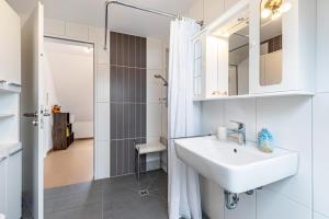 a white bathroom with a sink and a shower at Hohenzollern in Gammertingen