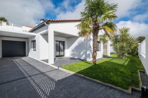 a palm tree in front of a white house at Azores Top House // Luxury and New House in Ponta Delgada