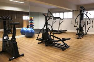 Fitness centrum a/nebo fitness zařízení v ubytování Astron St Moritz by Nobile