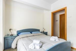 馬里爾伊瓦的住宿－Al centro della Val di Sole，一间卧室配有蓝色的床和毛巾