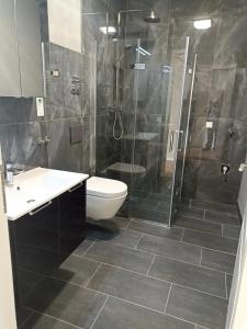 ein Bad mit einer Dusche, einem WC und einem Waschbecken in der Unterkunft Hotel zur Panke Wohnung 2 in Kolonie Röntgental