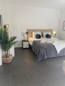 a bedroom with a bed with blue pillows and a plant at Fuerte Confort in La Oliva +14 photos