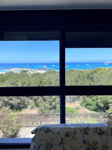 エス・プホルスにあるApt Mar de Pujols 1 - FormenteraLodgeのギャラリーの写真