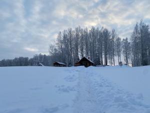 Järveoru v zimě + 37 fotografií
