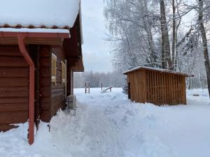 Järveoru v zimě