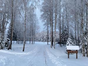 un sendero cubierto de nieve en un bosque con árboles nevados en Järveoru en Aidaku