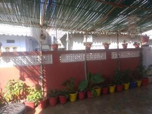 Gallery image of Red king home stay in Bikaner