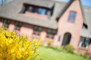 a large brick house with yellow flowers in front of it at Aalernhues in Keitum
