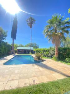 a swimming pool in a yard with palm trees at Chalet San Rafael in San Rafael