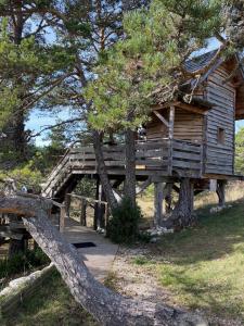 a wooden cabin with a tree leaning over it at Les Cabanes de Maya in Caille